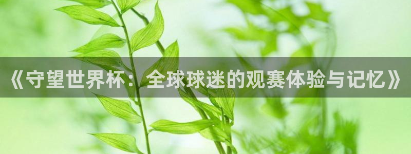2026世界杯赛程:《守望世界杯:全球球迷的观赛体验与记忆》