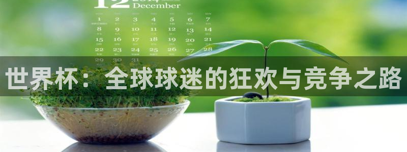 男足世界杯预选赛赛程:世界杯:全球球迷的狂欢与竞争之路