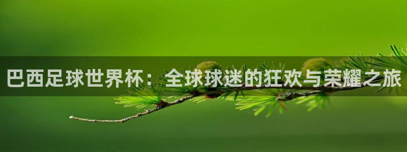 欧洲世预赛赛程表:巴西足球世界杯:全球球迷的狂欢与荣耀之旅