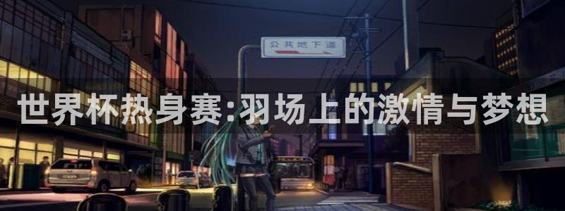 世界杯欧洲区预选赛:世界杯热身赛:羽场上的激情与梦想